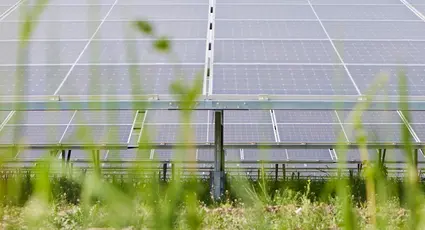Enerparc-Insolvenz: Wie es mit den Solarprojekten weitergeht