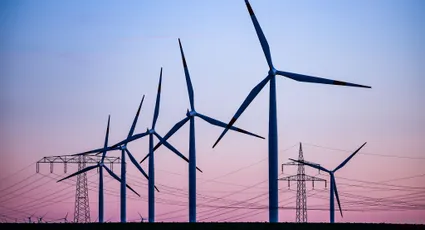Umweltjurist: AfD-Moratorium für Windkraft wäre rechtswidrig
