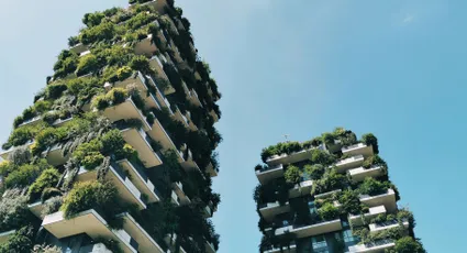 Klimaanpassung: Wie Städte und Gesellschaft hitzefest werden sollen