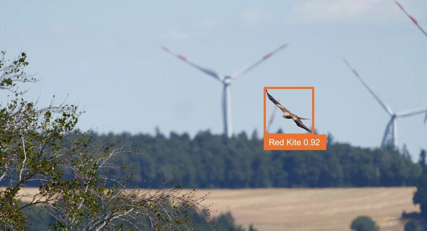 Mit KI erkannt: AVES Wind von ProTecBird identifiziert Vögel und schaltet nur bei Bedarf Windanlagen ab.