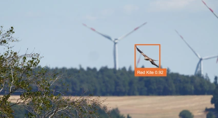 Mit KI gezielter abschalten: ProTecBird schützt Vögel im Windpark