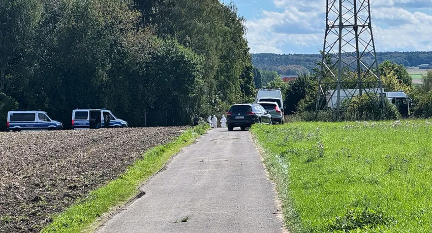 Sachsens Regierung plant besseren Schutz für Stromnetze