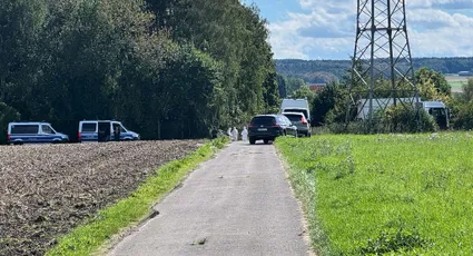 Sachsens Regierung plant besseren Schutz für Stromnetze